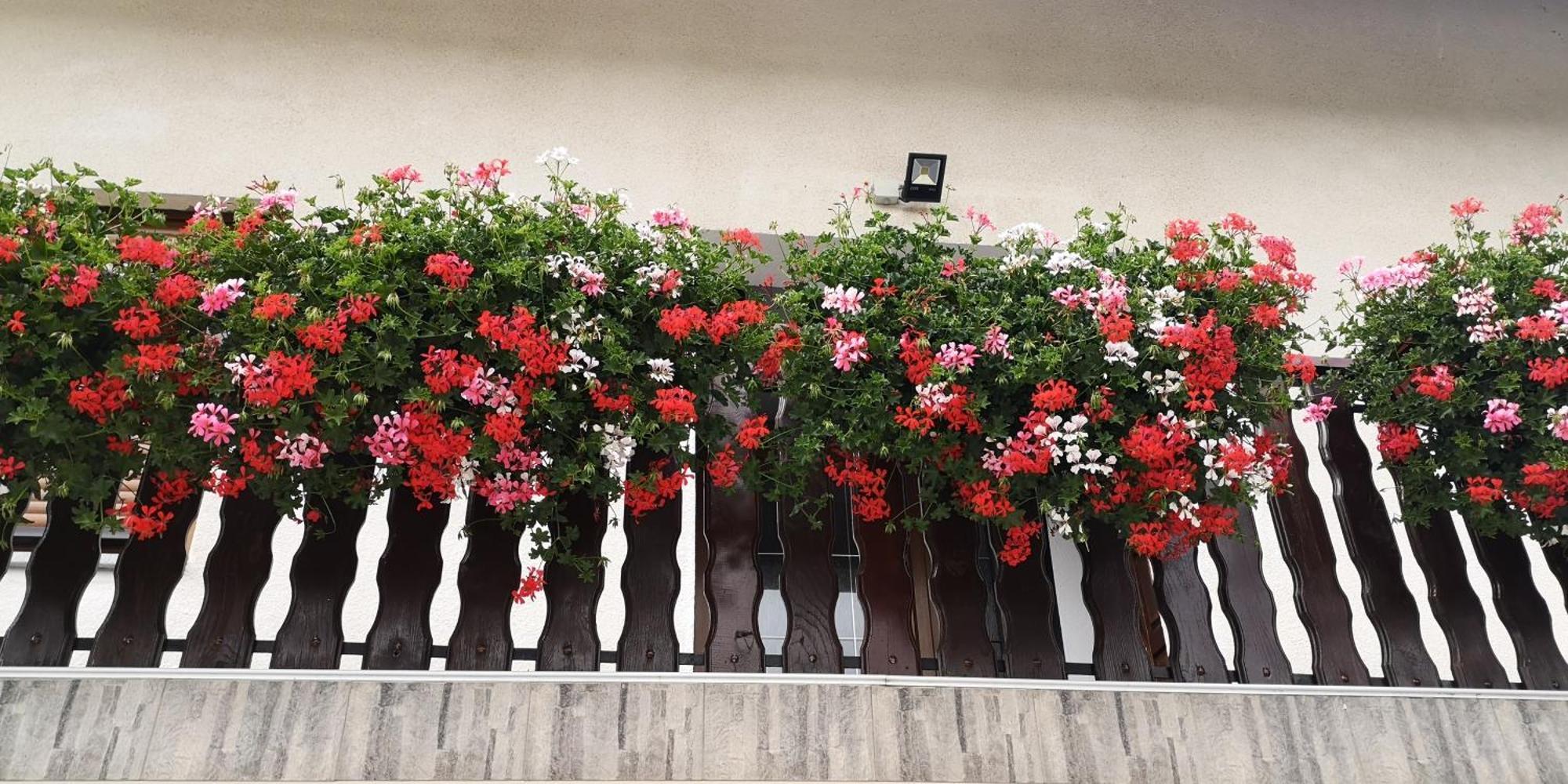 Plitvice House Milan Hotel Jezerce Exterior photo